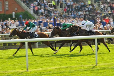 newmarket races today race card|Newmarket July Festival 2022: A Review .